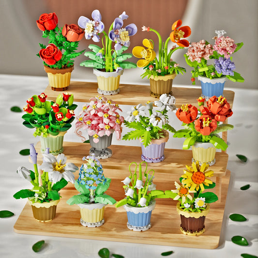 Micro Block Potted Flower & Succulent Sets