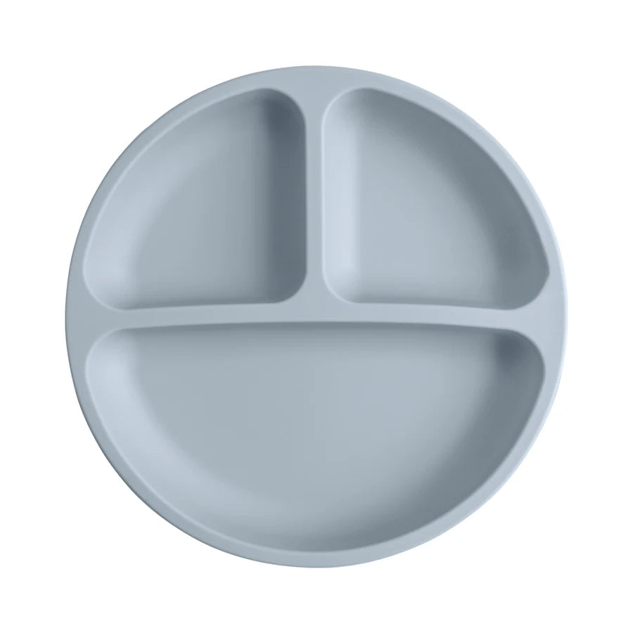 BPA Free Suction Silicone Feeding Plate